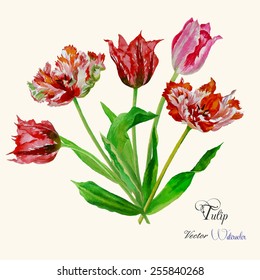 Background with bouquet of tulips.Vector Illustration