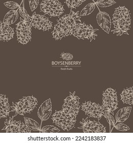 Background with boysenberry: leaves and boysenberry plant. Vector hand drawn illustration.