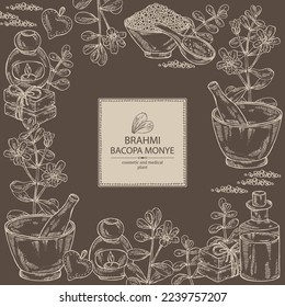 Background with brahmi: brahmi flower, plant and leaves. Bacopa Monier. Indian pennywort. Oil, soap and bath salt . Cosmetics and medical plant. Vector hand drawn illustration