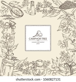 Background with branch of camphor tree, leaves, berries, camphor flowers. Essential oil, soap and bath salt . Cosmetic, perfumery and medical plant. Vector hand drawn illustration. 