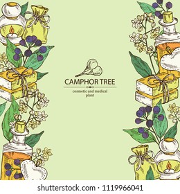 Background with branch of camphor tree, leaves, berries, camphor flowers. Essential oil, soap and bath salt . Cosmetic, perfumery and medical plant. Vector hand drawn illustration. 