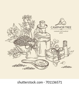 Fundo com ramo de árvore de cânfora, folhas, bagas, flores de cânfora. Óleo essencial, sabão e sal de banho . Planta cosmética, perfumaria e médica. Ilustração desenhada à mão vetorial. 
