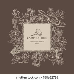 Background with branch of camphor tree, leaves, berries, camphor flowers. Essential oil, soap and bath salt . Cosmetic, perfumery and medical plant. Vector hand drawn illustration. 