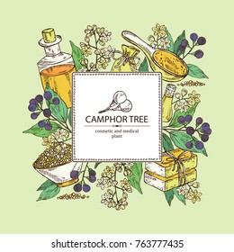 Background with branch of camphor tree, leaves, berries, camphor flowers. Essential oil, soap and bath salt . Cosmetic, perfumery and medical plant. Vector hand drawn illustration. 