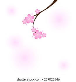Background with branch of cherry blossom. Vector. EPS 10