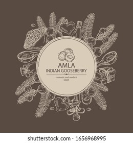 Background with branch of indian gooseberry, amla: berries and leaves of amla, oil, soap and bath salt . Cosmetic and medical plant. Vector hand drawn illustration. 