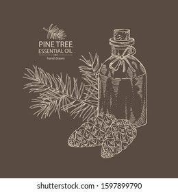 Background with branch of pine tree, cone and bottle of pine tree essential oil. Cosmetic, perfumery and medical plant. Vector hand drawn illustration.