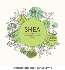 Background with branch shea, shea nut, essential oil, soap and bath salt . Cosmetic, perfumery and medical plant. Vector hand drawn illustration. 