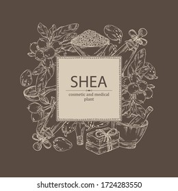 Background with branch shea, shea nut, essential oil, soap and bath salt . Cosmetic, perfumery and medical plant. Vector hand drawn illustration. 