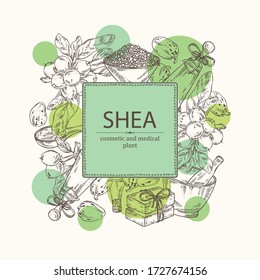 Background with branch shea, shea nut, essential oil, soap and bath salt . Cosmetic, perfumery and medical plant. Vector hand drawn illustration. 