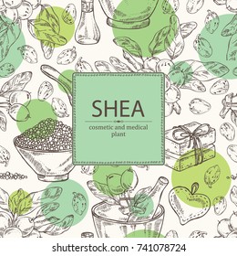 Background with branch shea, shea nut, essential oil, soap and bath salt . Cosmetic, perfumery and medical plant. Vector hand drawn illustration.