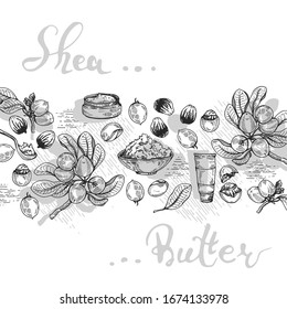 Background with branch Shea tree with fruits, nuts, leaves and Shea butter. Detailed hand-drawn sketches and lettering, vector botanical illustration. For cosmetics, medicine, aromatherapy. 