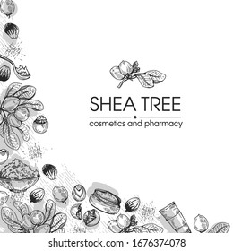 Background with branch Shea tree with fruits, nuts, leaves and Shea butter. Detailed hand-drawn sketches, vector botanical illustration. For cosmetics, medicine, aromatherapy.