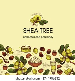 Background with branch Shea tree with fruits, nuts, leaves and Shea butter. Detailed hand-drawn sketches, 