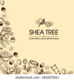 Background with branch Shea tree with fruits, nuts, leaves and Shea butter. Detailed hand-drawn sketches, vector botanical illustration. For cosmetics, medicine, aromatherapy.