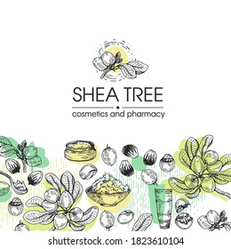 Background with branch Shea tree with fruits, nuts, leaves and Shea butter. Detailed hand-drawn sketches, vector botanical illustration. For cosmetics, medicine, aromatherapy.