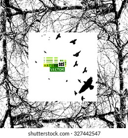 background branch of a tree with flying birds. Vector