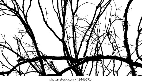 background branch of a tree. Vector