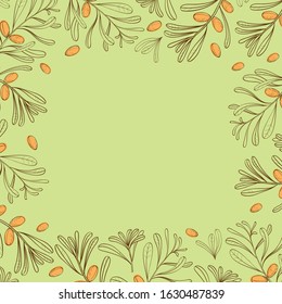 Background with branches of argania for posters, covers and labels for cosmetics. Vector.