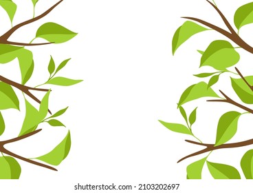 Background with branches and green leaves. Spring or summer twigs.