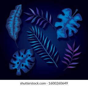 background of branches and leafs tropicals vector illustration design