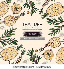 Background with branches with leaves and flowers of tea tree. Detailed hand-drawn sketches, vector botanical illustration.