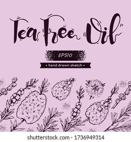 Background with branches with leaves and flowers of tea tree and lettering . Detailed hand-drawn sketches, vector botanical illustration.