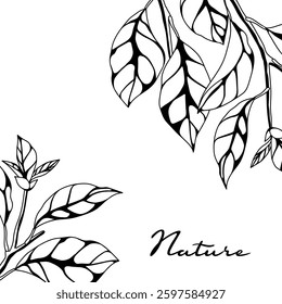 Background with branches and leaves. Spring or summer stylized foliage.