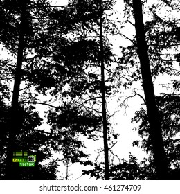 background branches of trees in the forest. Vector