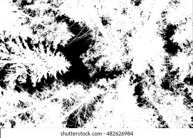 background branches of trees in the forest. Vector