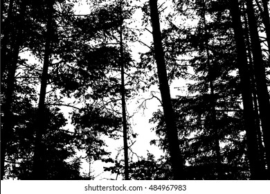 background branches of trees in the forest. Vector
