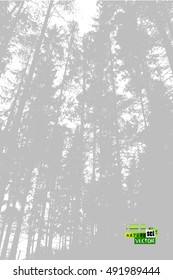 background branches of trees in the forest. Vector