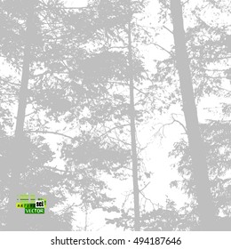 background branches of trees in the forest. Vector