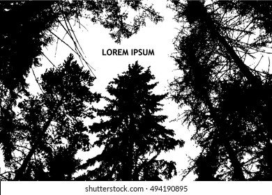 background branches of trees in the forest. Vector