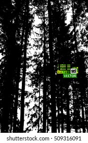 background branches of trees in the forest. Vector