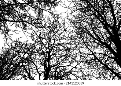 Background of branches trees silhouette. Vector illustration