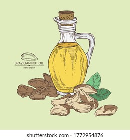 Fondo con nu brasileña y botella de aceite de nuez brasileño. Ilustración dibujada a mano por el vector