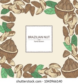 Background with brazilian nut. Vector hand drawn illustration