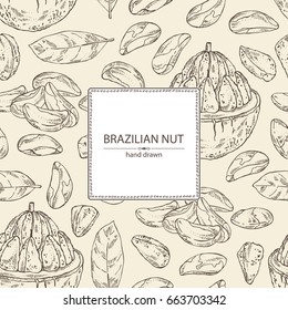Background with brazilian nut. Vector hand drawn illustration.