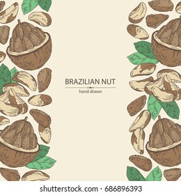 Background with brazilian nut. Vector hand drawn illustration
