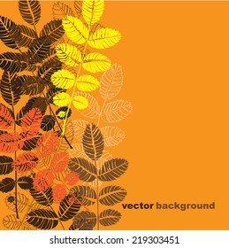 Background with bright autumn leaves
