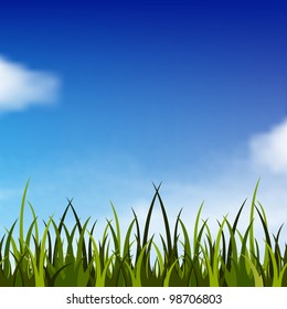 Background with bright blue sky and green grass