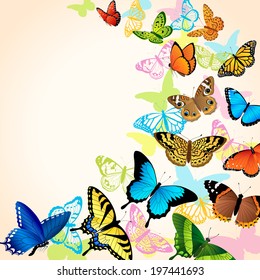 Background with bright colorful butterflies.