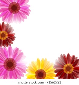 Background with bright daisy flowers in sunlight (eps10)