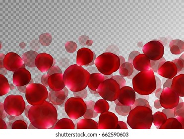 Background with bright rose petals flying upwards on a transparent backdrop. Vector design for a romantic design.