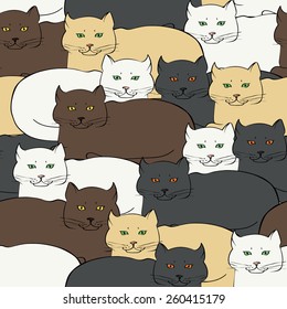 Background with british cats