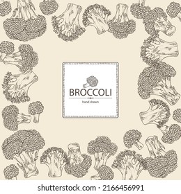 Background with broccoli: full broccoli, piece and broccoli inflorescence. Vector hand drawn illustration. 