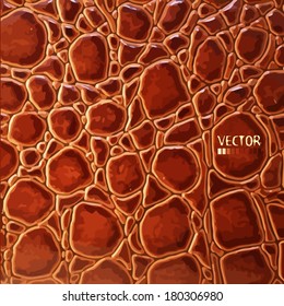 background of brown alligator. Vector