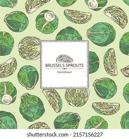 Background with brussels sprouts: head of cabbage, full brussels sprouts and brussels sprouts piece. Vector hand drawn illustration. 