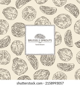 Background with brussels sprouts: head of cabbage, full brussels sprouts and brussels sprouts piece. Vector hand drawn illustration. 